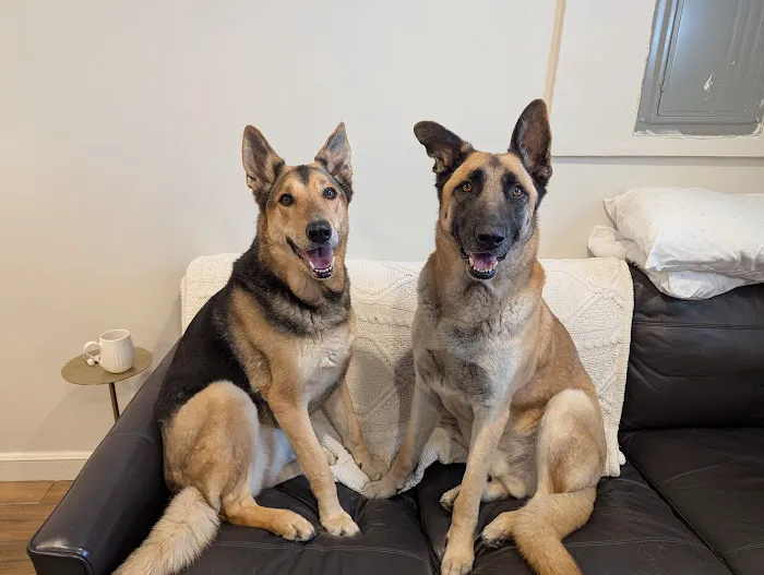 Primary Pet Care Picture 3