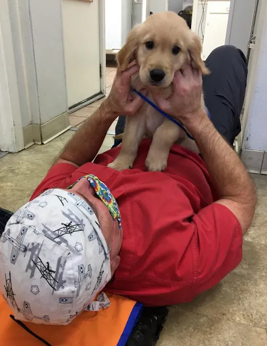 Stow Kent Animal Hospital Picture 2