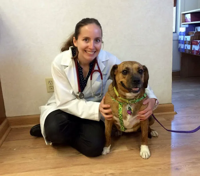 Stow Kent Animal Hospital Picture 5