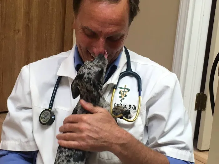Stow Kent Animal Hospital Picture 10