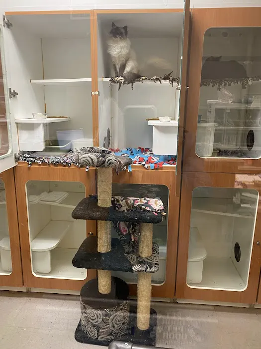Twinsburg Veterinary Hospital & Pet Lodge Picture 2
