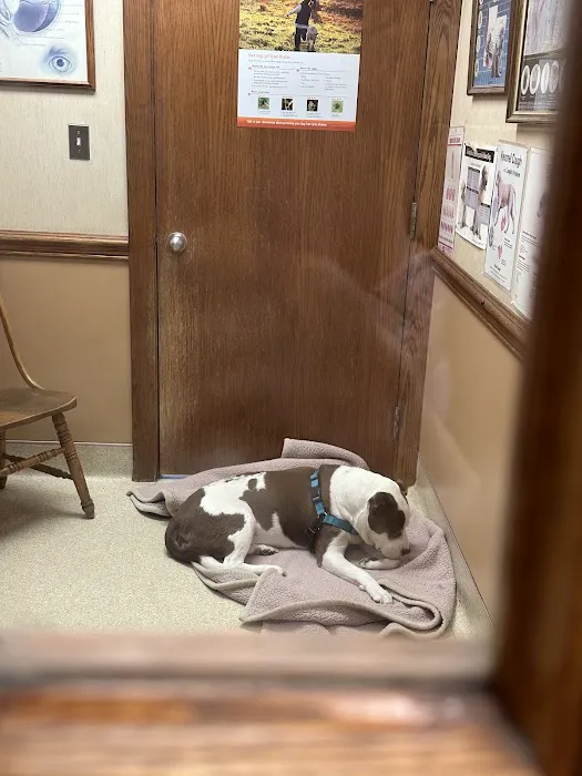 Companion Animal Hospital Picture 10