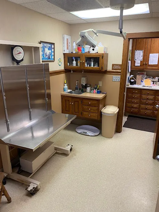Companion Animal Hospital Picture 4