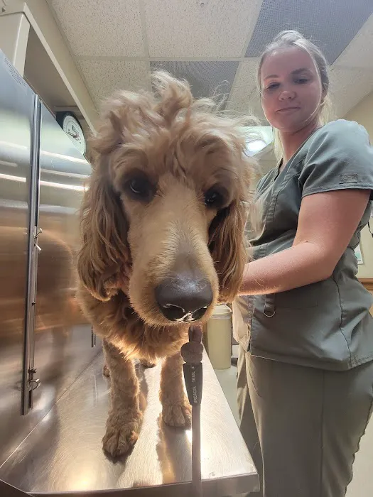 Companion Animal Hospital Picture 2