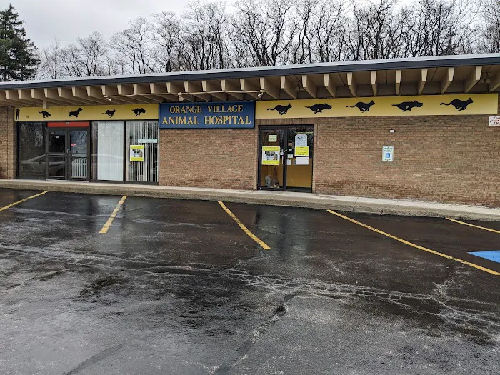 Orange Village Animal Hospital Picture 4