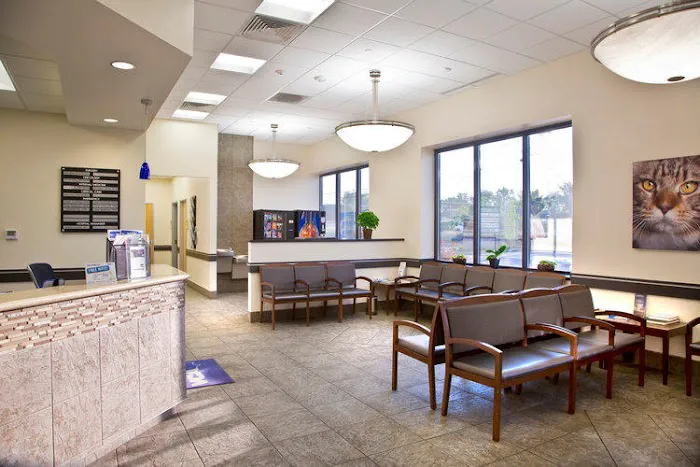 VCA Great Lakes Veterinary Specialists Picture 8