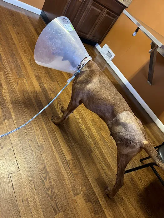 Solon Animal Hospital Picture 2