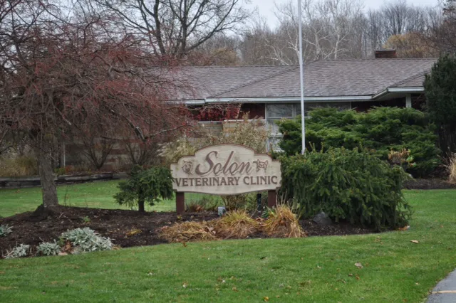 Solon Animal Hospital Picture 8