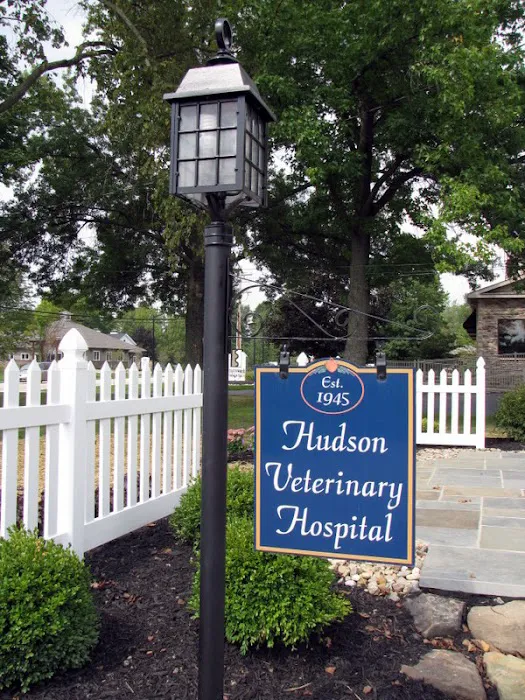 Hudson Veterinary Hospital Picture 4