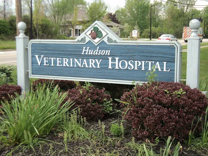 Hudson Veterinary Hospital Picture 8