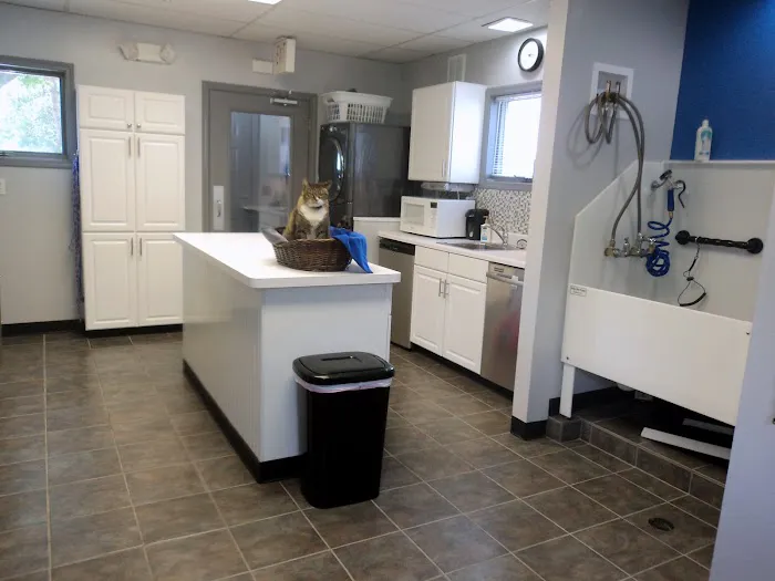 Hudson Veterinary Hospital Picture 9