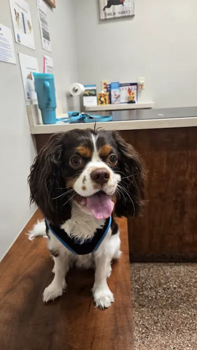 Keystone Veterinary Clinic Picture 3