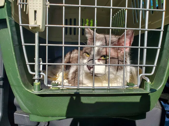 Keystone Veterinary Clinic Picture 4