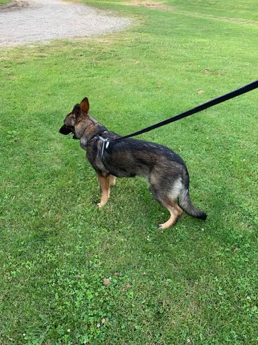 Morgan Veterinary Services Picture 8