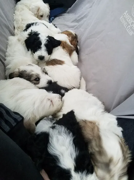 Morgan Veterinary Services Picture 10
