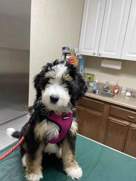 Belpre Animal Clinic Picture 1