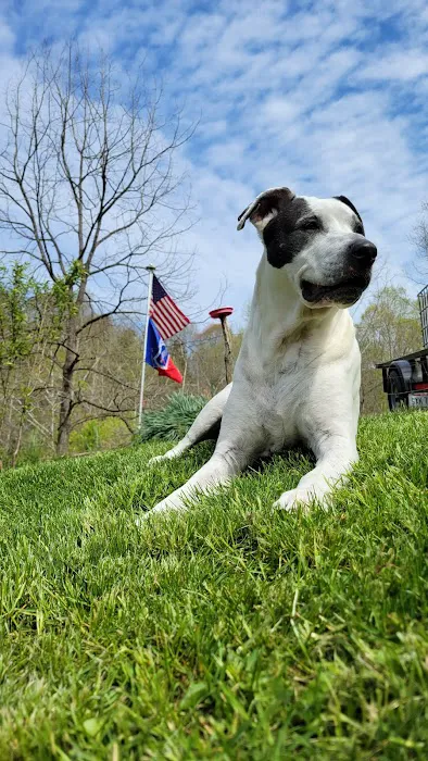 Belpre Animal Clinic Picture 10