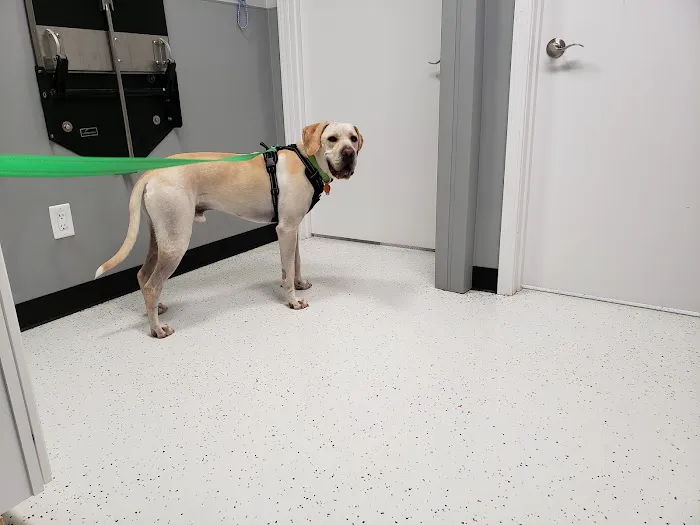 Mineral Wells Veterinary Clinic Picture 7