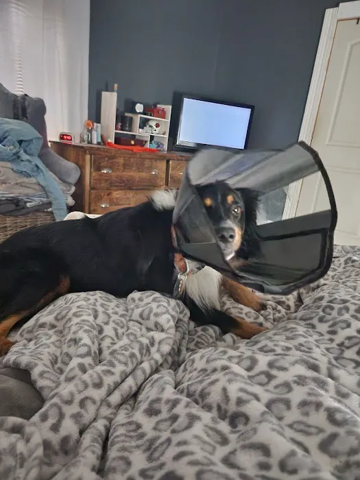 Finney Veterinary Services Picture 1