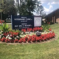 Orrville Veterinary Clinic Inc ico