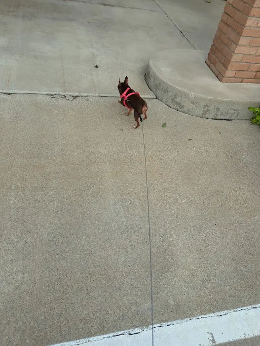 Orrville Veterinary Clinic Inc Picture 10