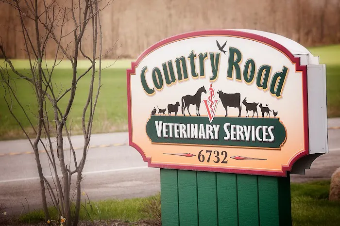 Country Road Veterinary Services Picture 1