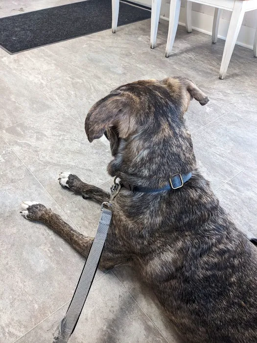 Country Road Veterinary Services Picture 2