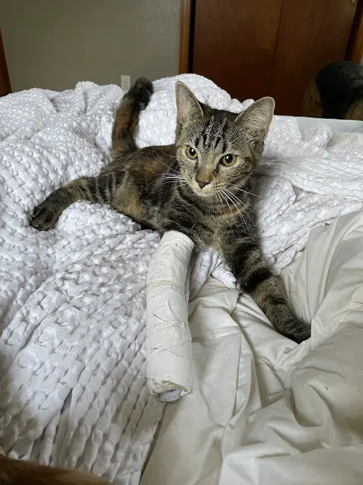 Wooster Animal Clinic Picture 10