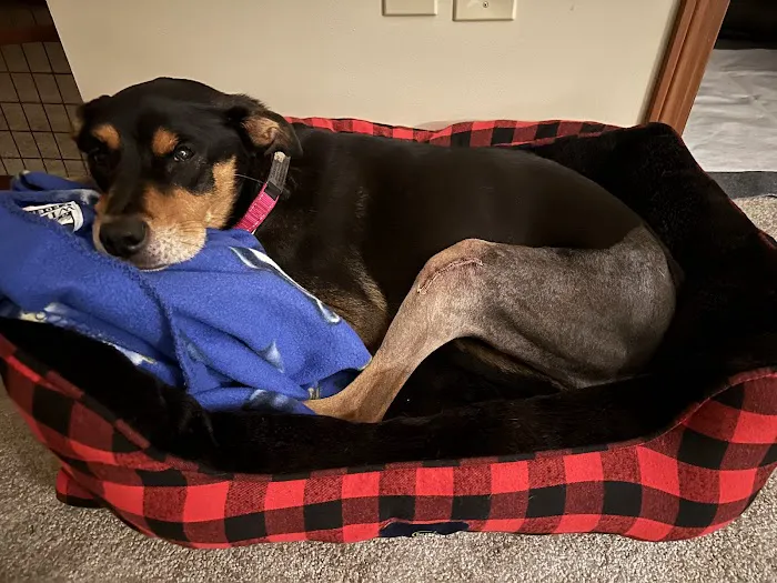 Wooster Animal Clinic Picture 1
