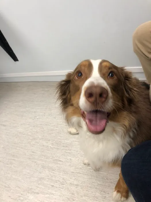 Ark Veterinary Hospital Picture 3