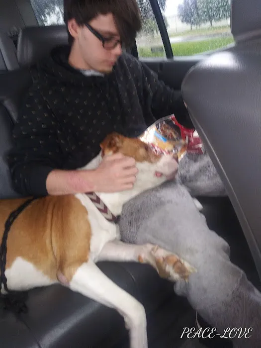 Ark Veterinary Hospital: Scrafford Kristen DVM Picture 4
