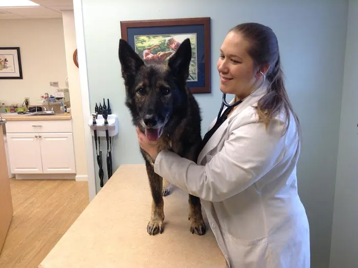 Stow Falls Pet Clinic, Inc. Picture 7