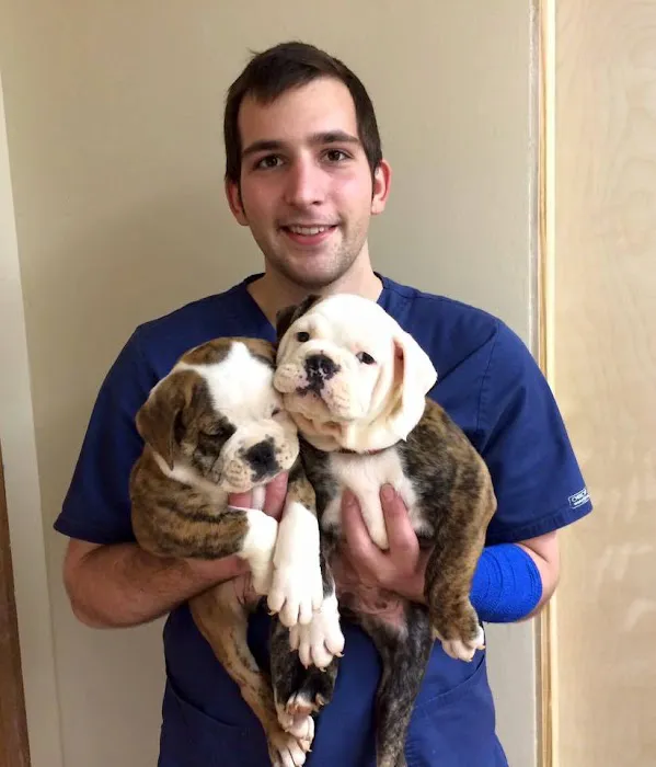Stow Falls Pet Clinic, Inc. Picture 9