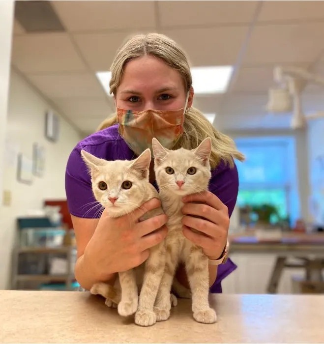 Stow Falls Pet Clinic, Inc. Picture 6