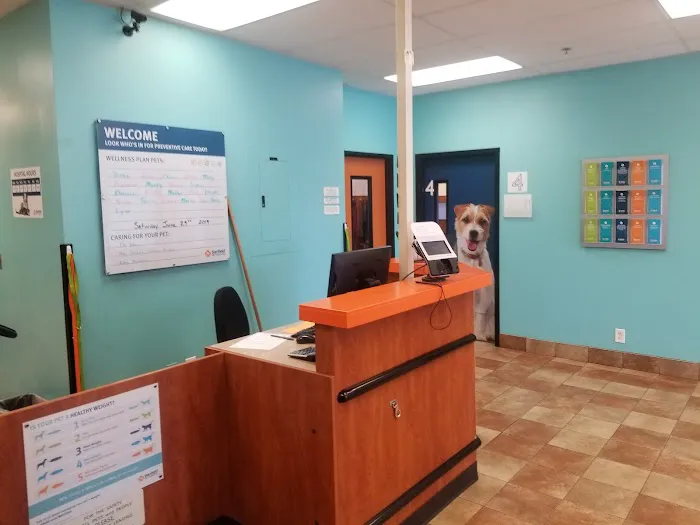 Banfield Pet Hospital Picture 5