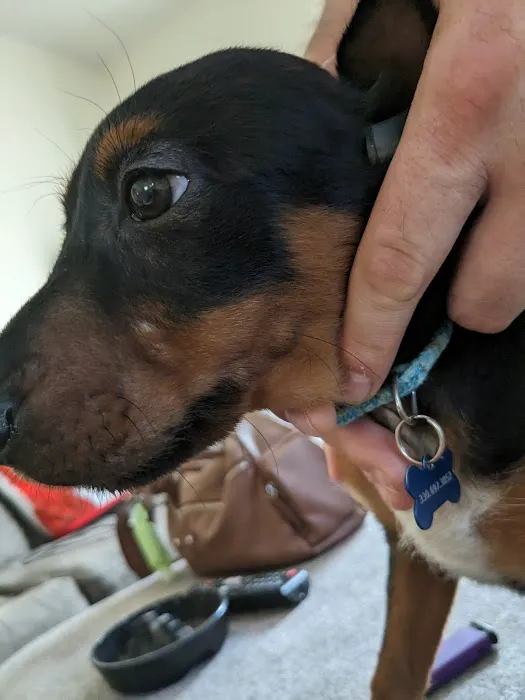 Banfield Pet Hospital Picture 4