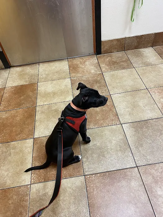 Banfield Pet Hospital Picture 9