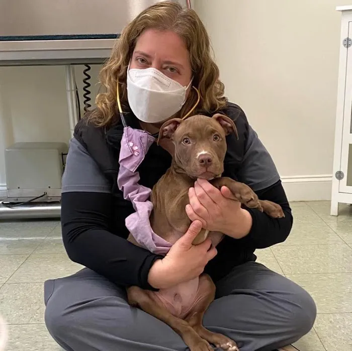 Highland Veterinary Clinic Picture 10