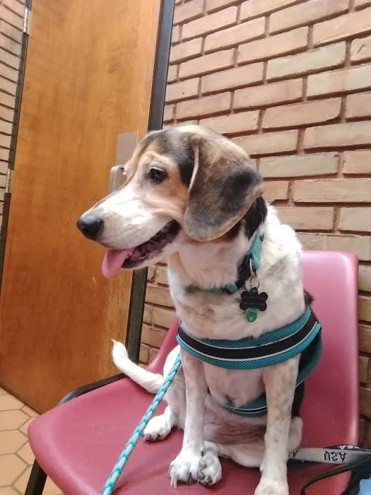Graham Road Animal Hospital Picture 1