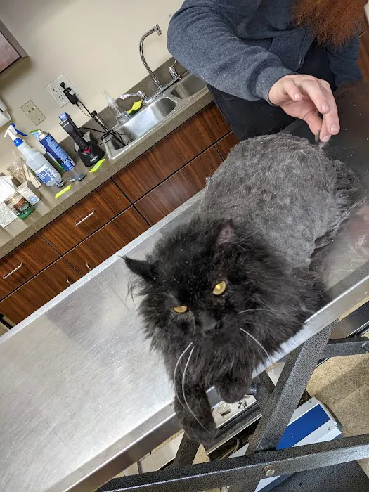 Akron Barberton Veterinary Clinic Picture 3