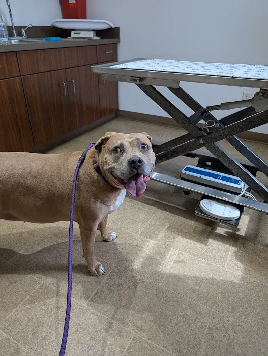 Akron Barberton Veterinary Clinic Picture 10