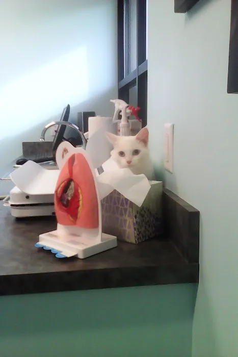 APC Veterinary Clinic Picture 3