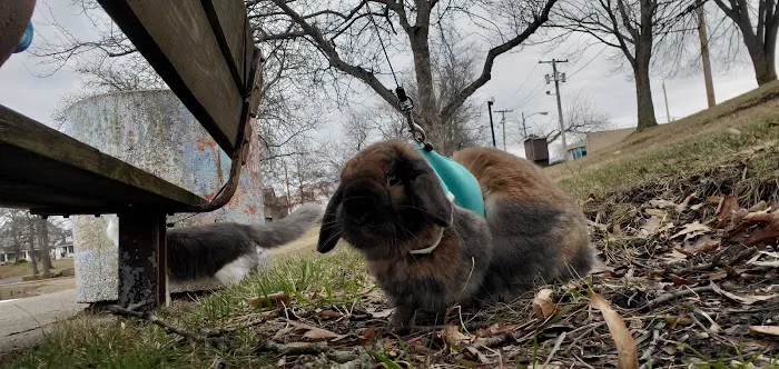 Barberton Veterinary Clinic Picture 10
