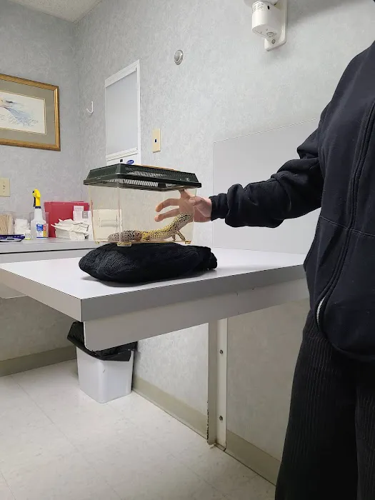 North Coast Bird & Exotic Specialty Hospital Picture 9