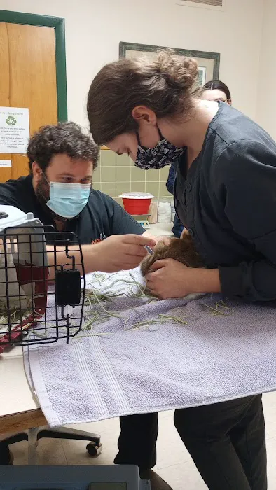 North Coast Bird & Exotic Specialty Hospital Picture 6