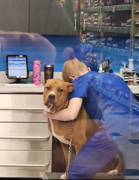 VIP Petcare Vaccination Clinic Picture 2