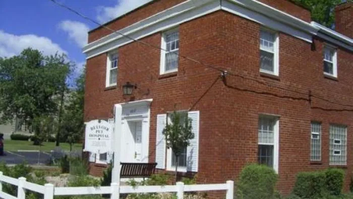 Belvoir Pet Hospital Picture 2