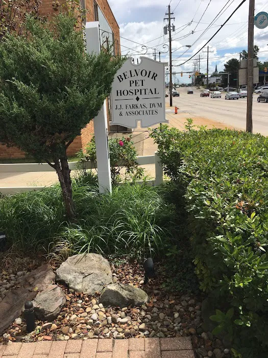 Belvoir Pet Hospital Picture 8