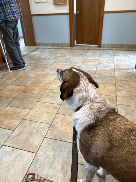 Belvoir Pet Hospital Picture 6