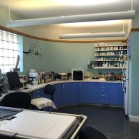 Just Cats Hospital ico
